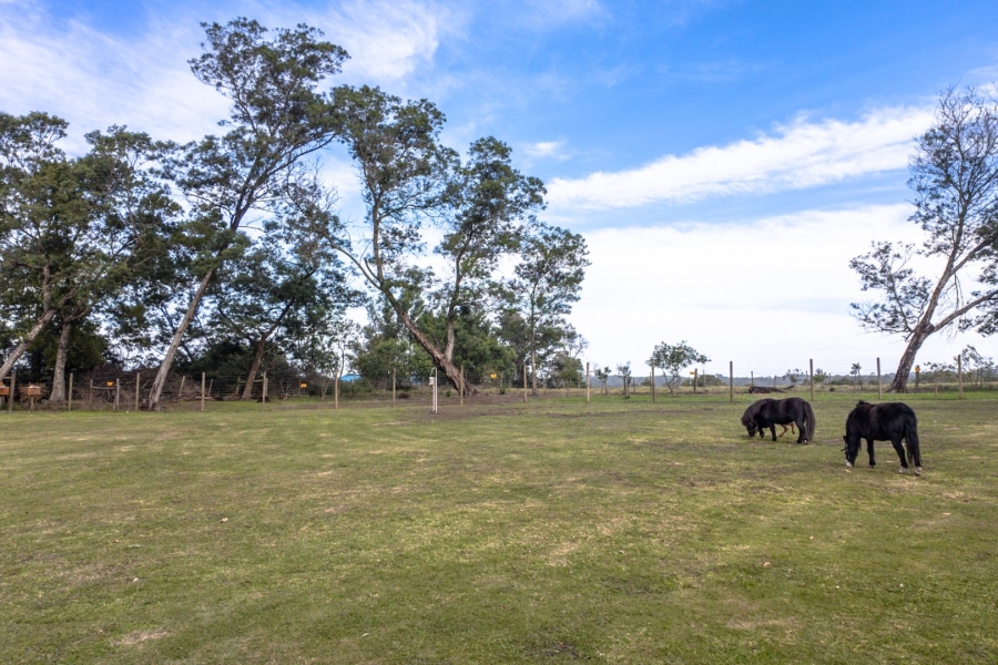  Bedroom Property for Sale in Plettenberg Bay Rural Western Cape